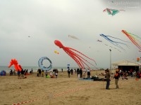 Aquiloni al mare, foto di Lorenzo Ceccarelli