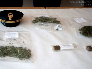 La Polizia di Senigallia alle prese con lo spaccio di stupefacenti in città: nuovo sequestro
