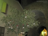 Festa Olio Nuovo 2012 a Scapezzano