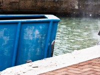 Il momento dell'impatto del peschereccio contro la banchina