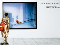 Mostra "Circostanze creative" di Alberto Polonara (10-16 novembre 2012)