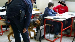 Unità cinofila in azione in una scuola