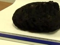 Il frammento di meteora caduto a Palermo