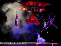 Lo spettacolo dei Sonics, "Meraviglia"