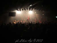 Vinicio Capossela a Senigallia - Foto di Libero Api