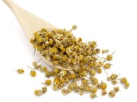 Fitoterapia, curarsi con la medicina dalle erbe