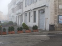 Caffè Italia di Senigallia