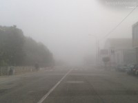 Fitta nebbia alla Cesanella di Senigallia sulla Statale Adriatica SS16