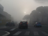 Fitta nebbia a Senigallia su viale Leopardi