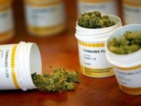 Cannabis terapeutica