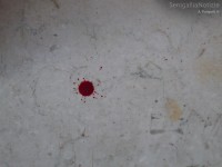 Macchie di sangue lasciate dai ladri al Roxy Bar