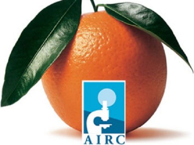 Il 26 gennaio tornano le arance dell' AIRC