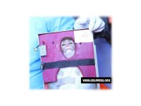 La scimmia lanciata nello spazio dall'Iran