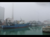 Le imbarcazioni dell'ex cantiere del Navalmeccanico ferme al porto di Senigallia