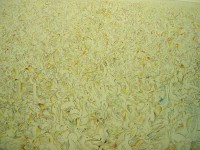 Sule, di Andrea Crostelli. Diritti riservati