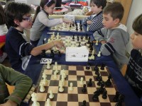 Scacchi: a Senigallia il Torneo Provinciale Under 16