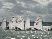 Vela: regata interzonale di Optimist