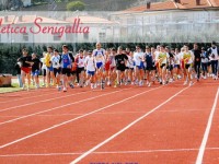 34°edizione del Trofeo podistico 'Città di Senigallia'