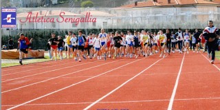 34°edizione del Trofeo podistico 'Città di Senigallia'