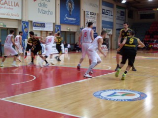 Goldengas-Dino Bigioni Montegranaro