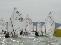 Trofeo Optimist a Senigallia
