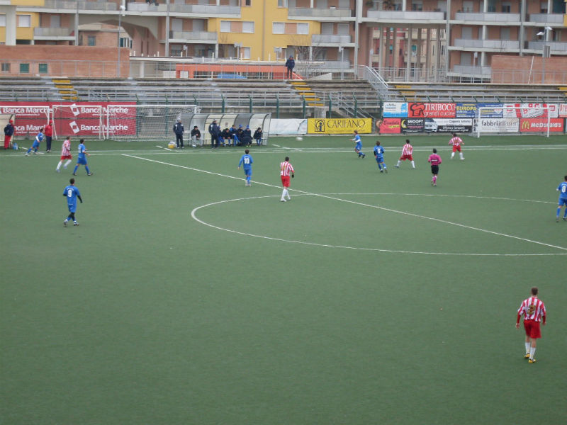Senigallia Calcio (n. 10 Bacchiocchi)