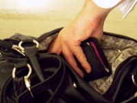 Furto di portafogli da una borsa, tentato furto, furto ad anziana