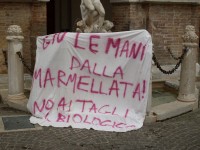 La protesta per i tagli alla spesa nelle scuole, Piazza Roma