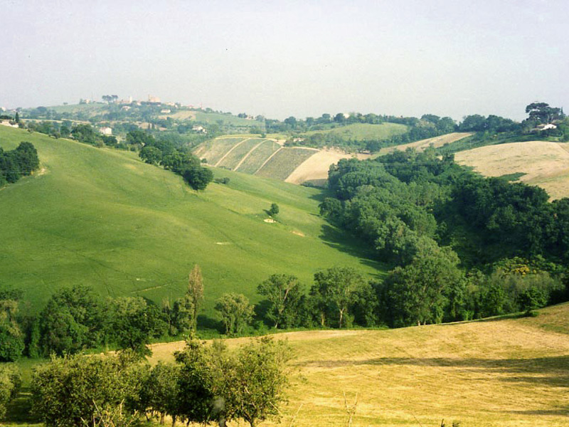 Valle del Cesano, foto di Marco Giardini