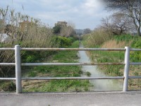 Fosso della giustizia a Senigallia, allagato dopo le piogge invernali