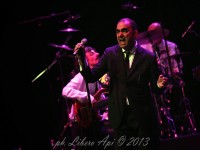 Concerto di Elio e le Storie Tese a Senigallia - Foto di Libero Api