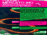 Mezza Campagna, programma 1° giugno