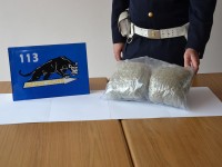 Il quantitativo di marijuana sequestro dalla polizia di Senigallia
