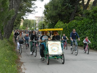 Bicincittà a Senigallia, edizione 2013