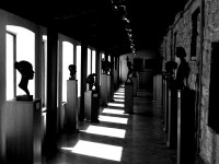 Enzo Carli - Archeologia dei Sentimenti - Crisalidi