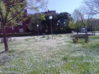 Senigallia, Parco della Pace (ex Piazza d'Armi)-foto di Giovanna Ceciliani