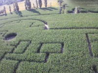 Il labirinto nel mais a Senigallia fotografato dall'alto
