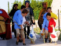 Festa Castellana a Scapezzano di Senigallia