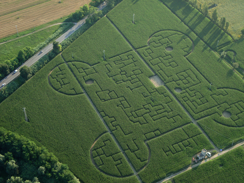 Il labirinto di mais realizzato a Senigallia dalla coop. Hort di Ancona, replica della Rocca roveresca