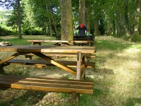 Lavori di manutenzione pioppeto a fianco del fiume Cesano di Senigallia