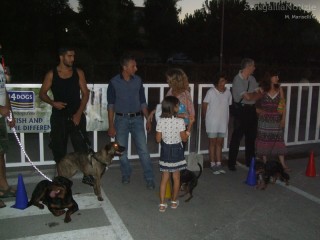1° Dog Party a Senigallia