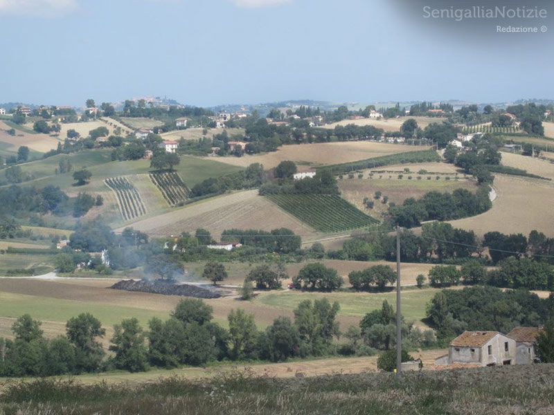 La zona dell'incendio nei campi di Castelleone di Suasa