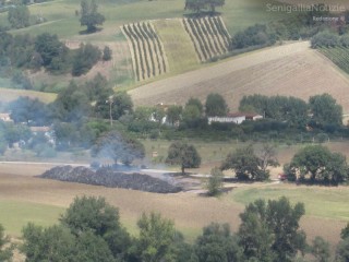La zona dell'incendio nei campi di Castelleone di Suasa