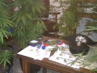 Il materiale sequestrato dai Carabinieri