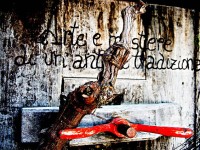 Concorso "Fotografiamo il Lacrima": foto di Alessio Spadoni - colore vincitore