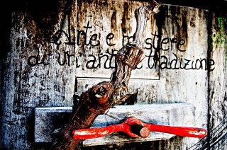 Concorso "Fotografiamo il Lacrima": foto di Alessio Spadoni - colore vincitore