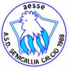A.S.D. Senigallia Calcio