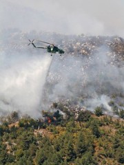 Elicottero del Corpo Forestale dello Stato in azione per spegnere un incendio
