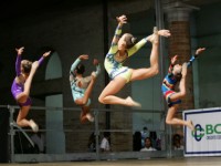 Ginnastica artistica