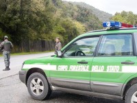 Corpo Forestale dello Stato